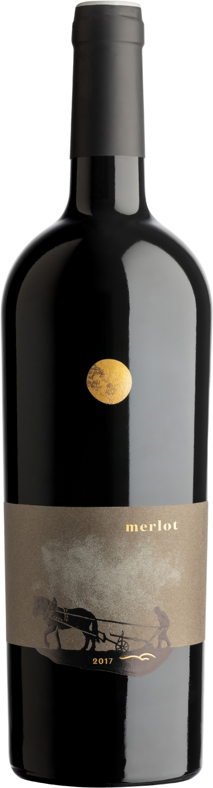 Merlot barrique