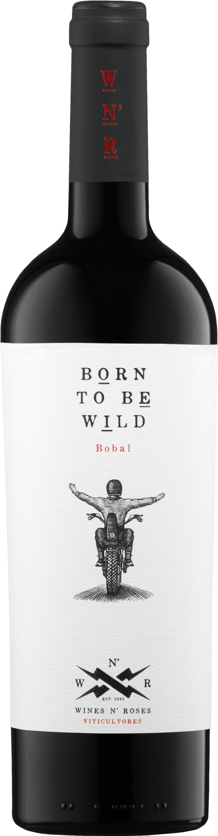 BORN TO BE WILD