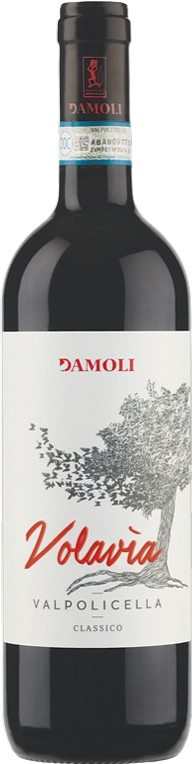 Valpolicella classico "Volavia"