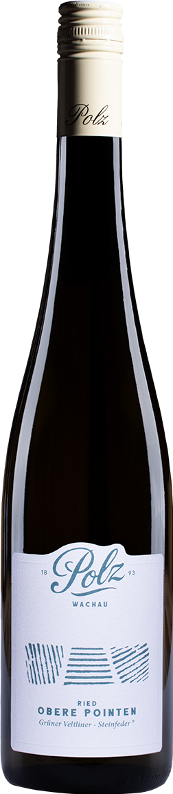 Grüner Veltliner Steinfeder "Ried Obere Pointen"