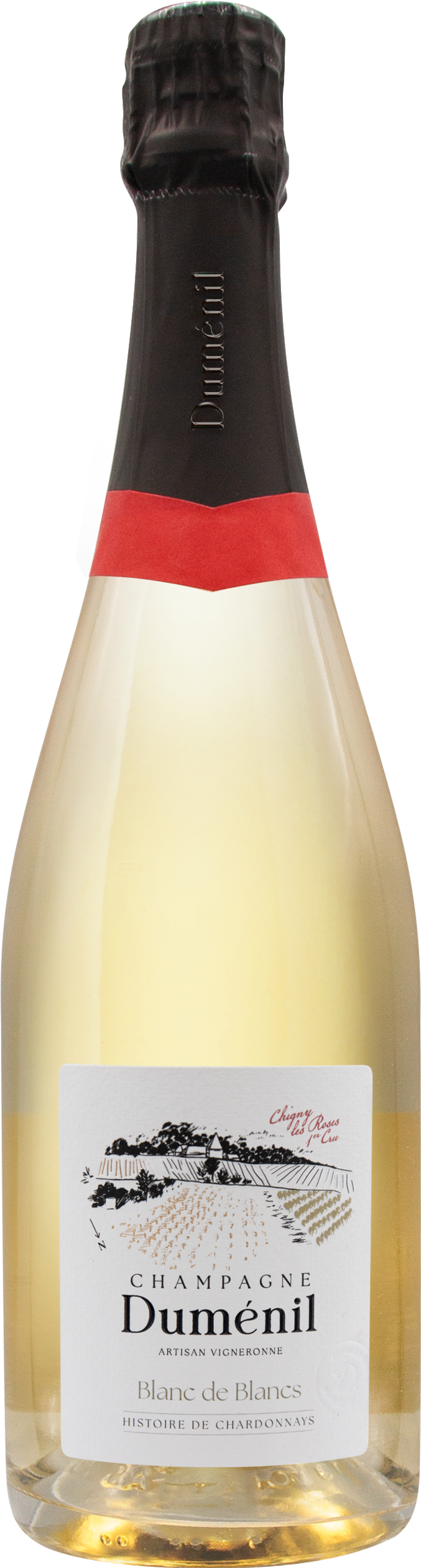 Champagne - Blanc de Blancs