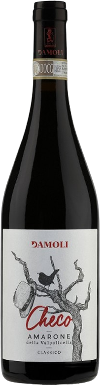 Amarone della Valpolicella classico "Checo"