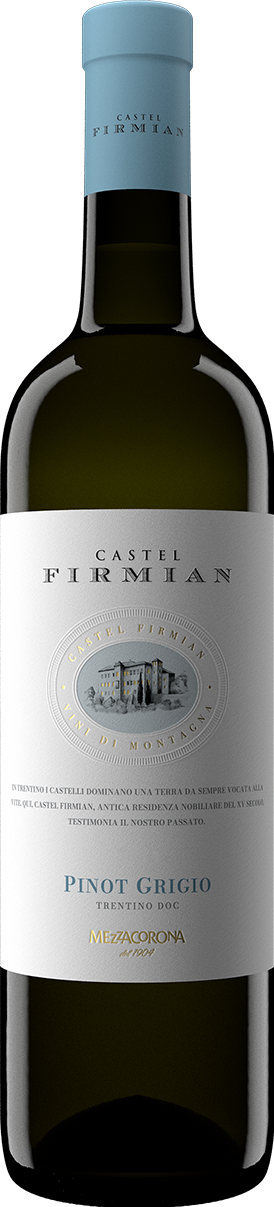 Pinot grigio - Castel Firmian