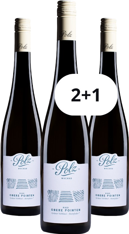 Grüner Veltliner Steinfeder "Ried Obere Pointen" – akce 2+1