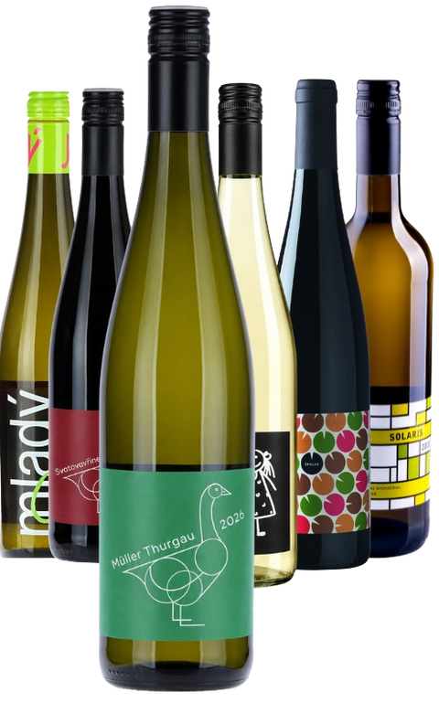 SET MLADÝCH VÍN