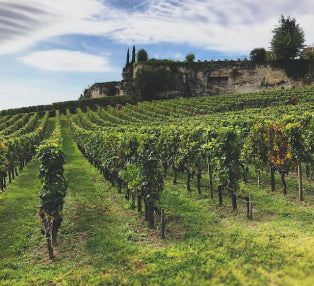 Côtes du Rhône
