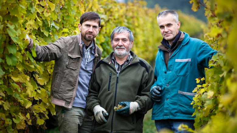 Vinařství rodiny Špalkovy