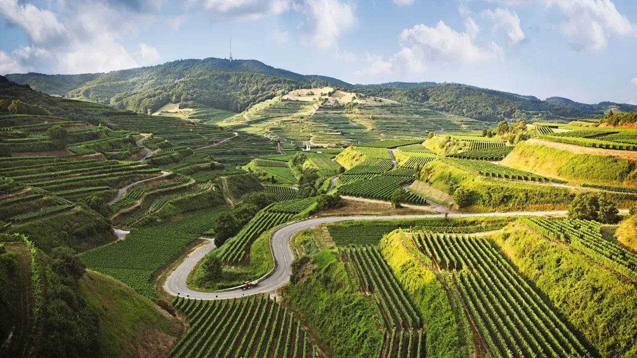 Rheinhessen