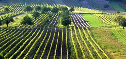 Burgenland