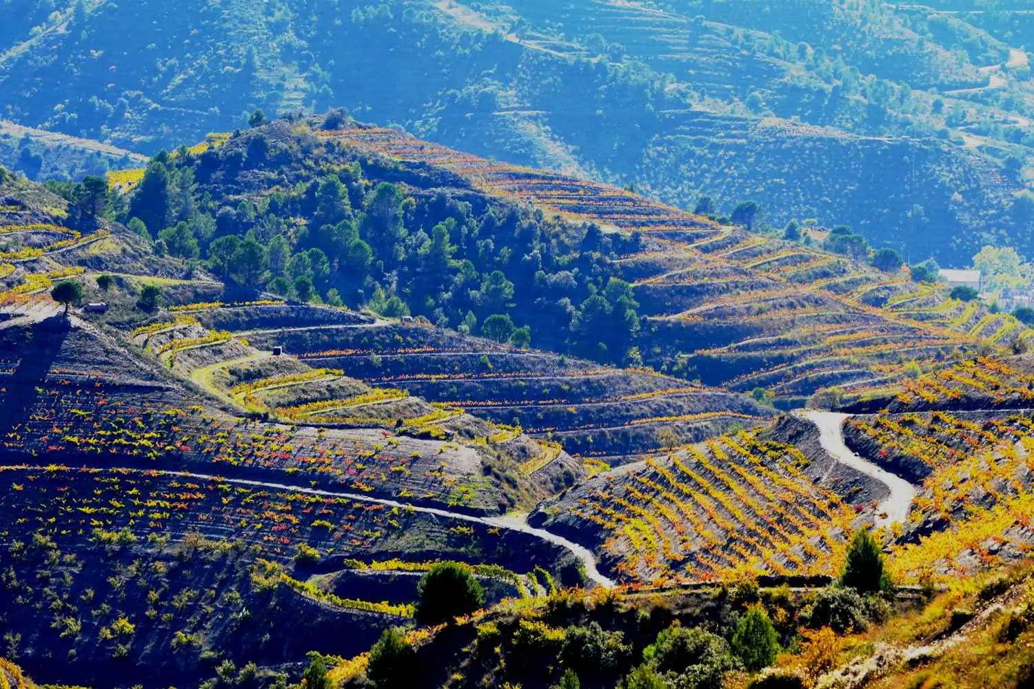 Priorat