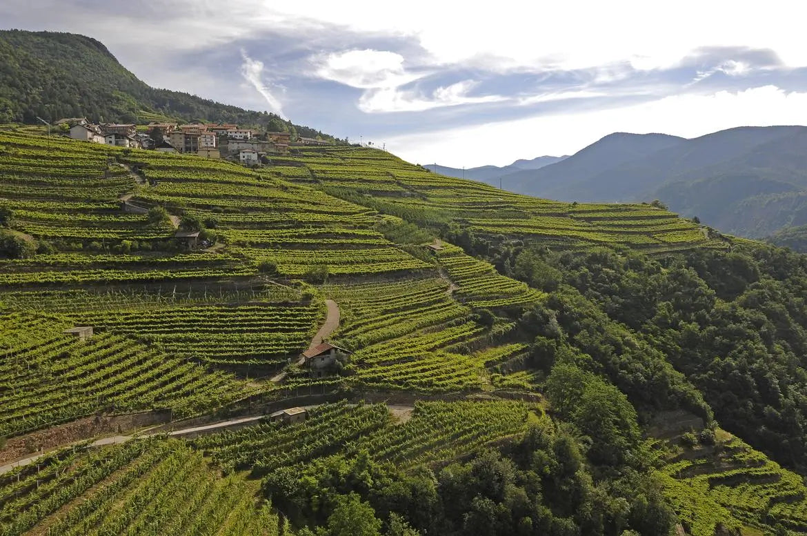 Trentino