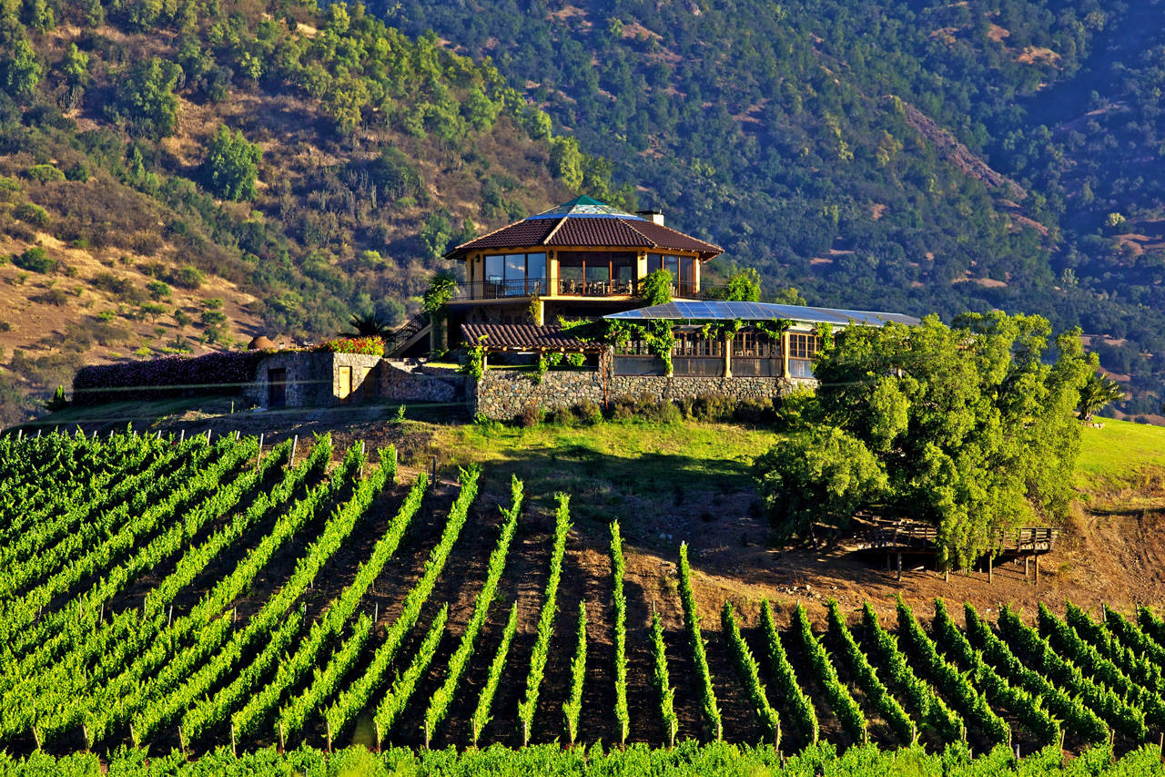 Colchagua Valley