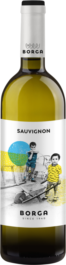 Sauvignon