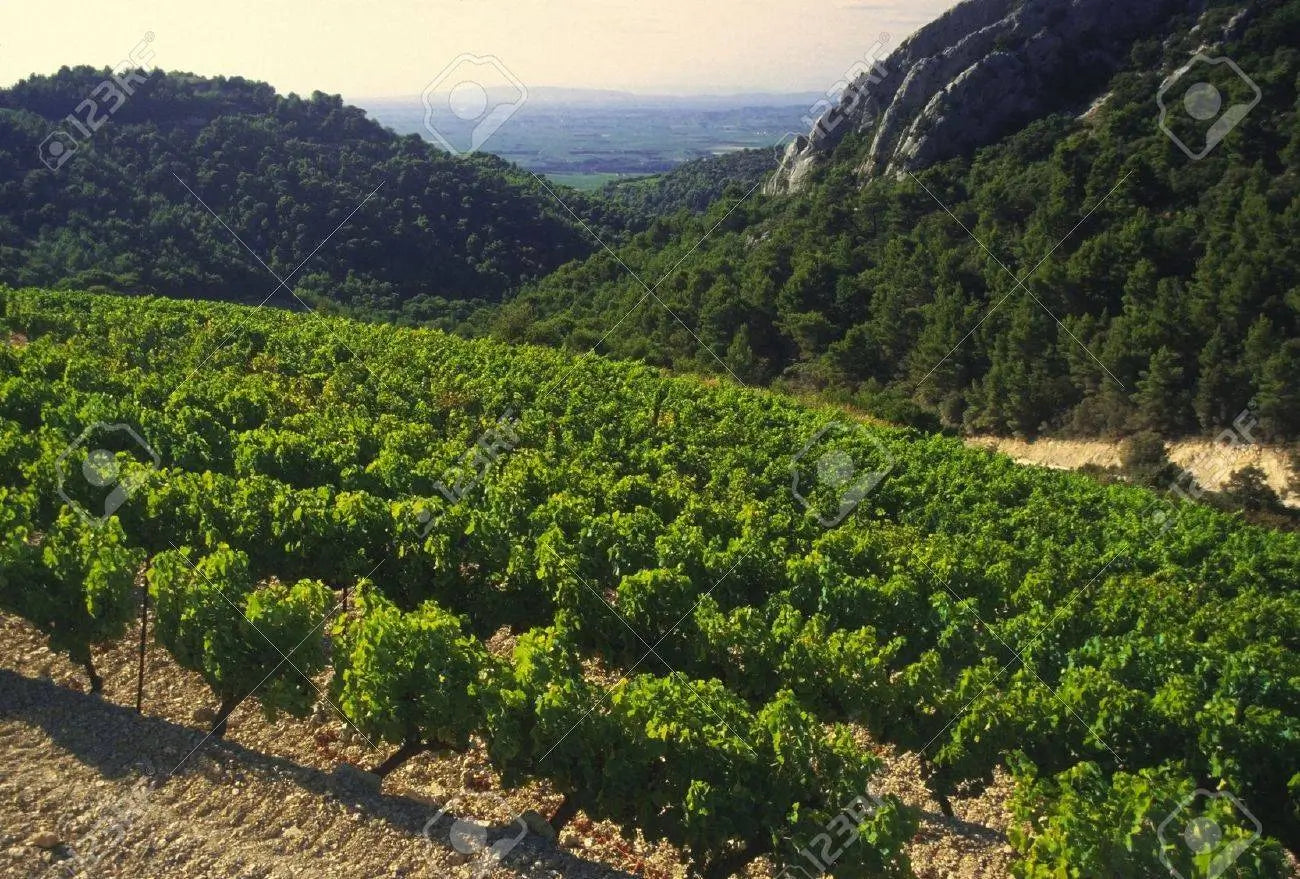 Côtes du Rhône