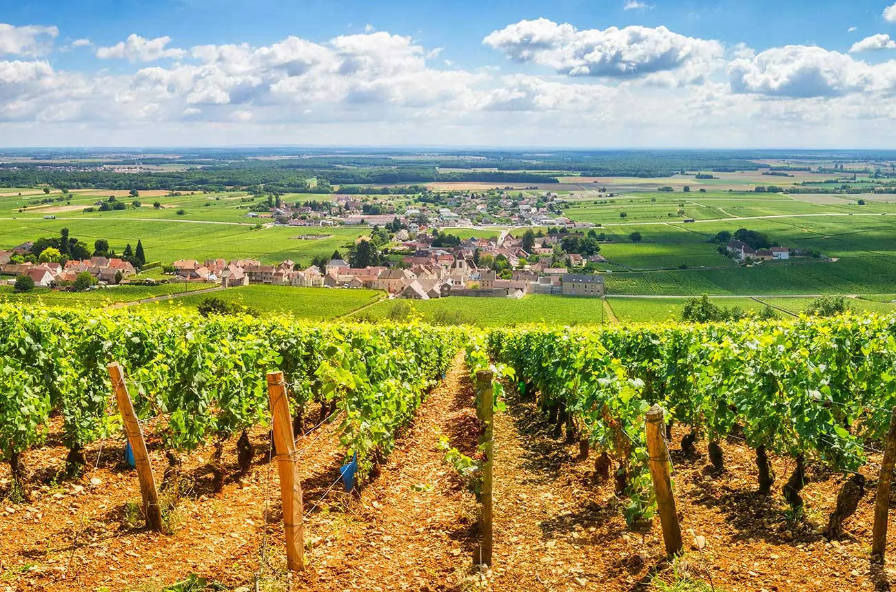 Bordeaux