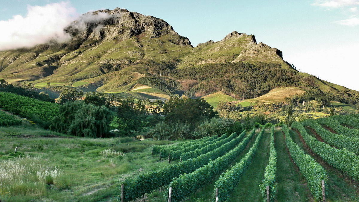 Stellenbosch