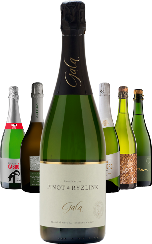 EXTRA SUCHÝ set bublin