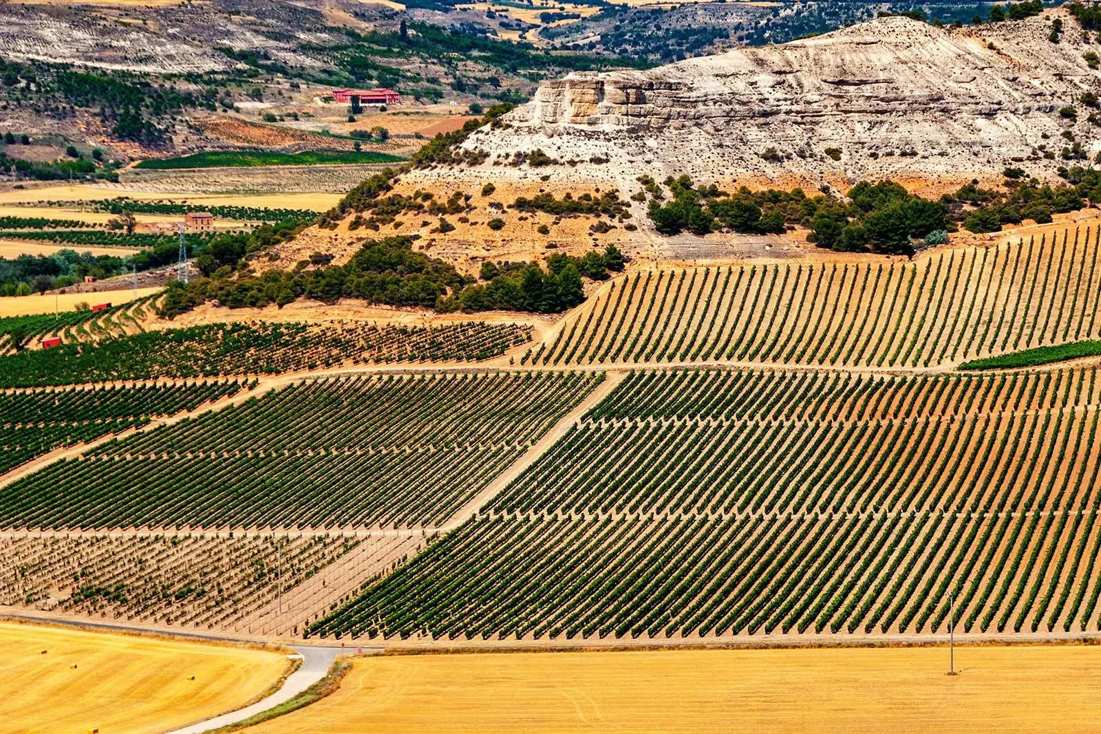 Ribera Del Duero