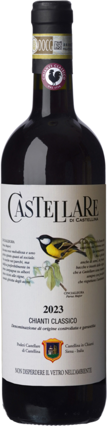 Chianti classico MAGNUM